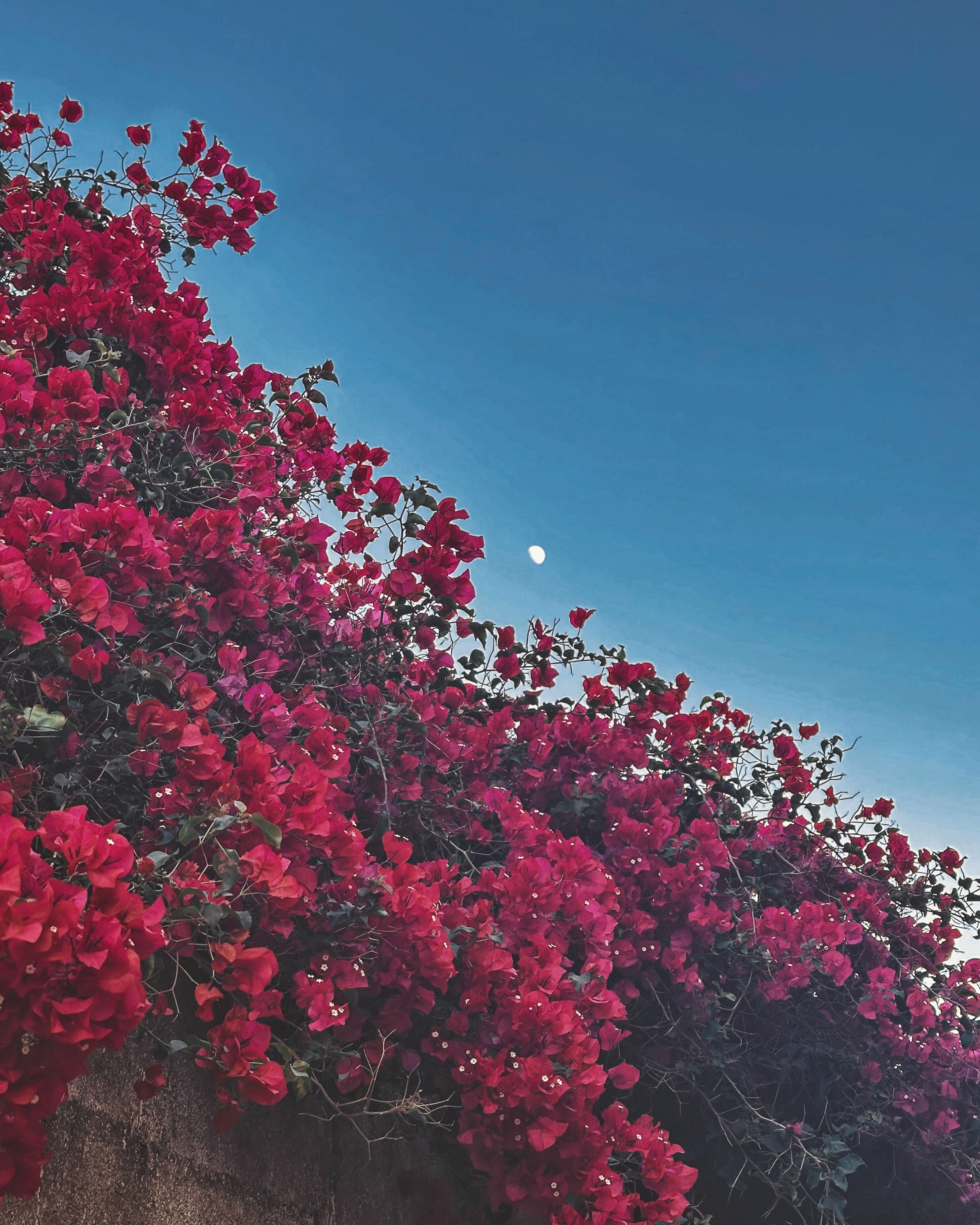 Propósitos 2025 para una piel saludable