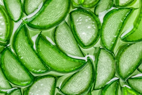 Aloe vera