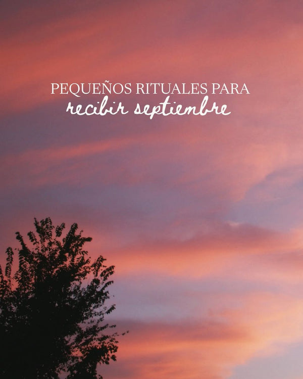 Publicación de Instagram de wildpretii